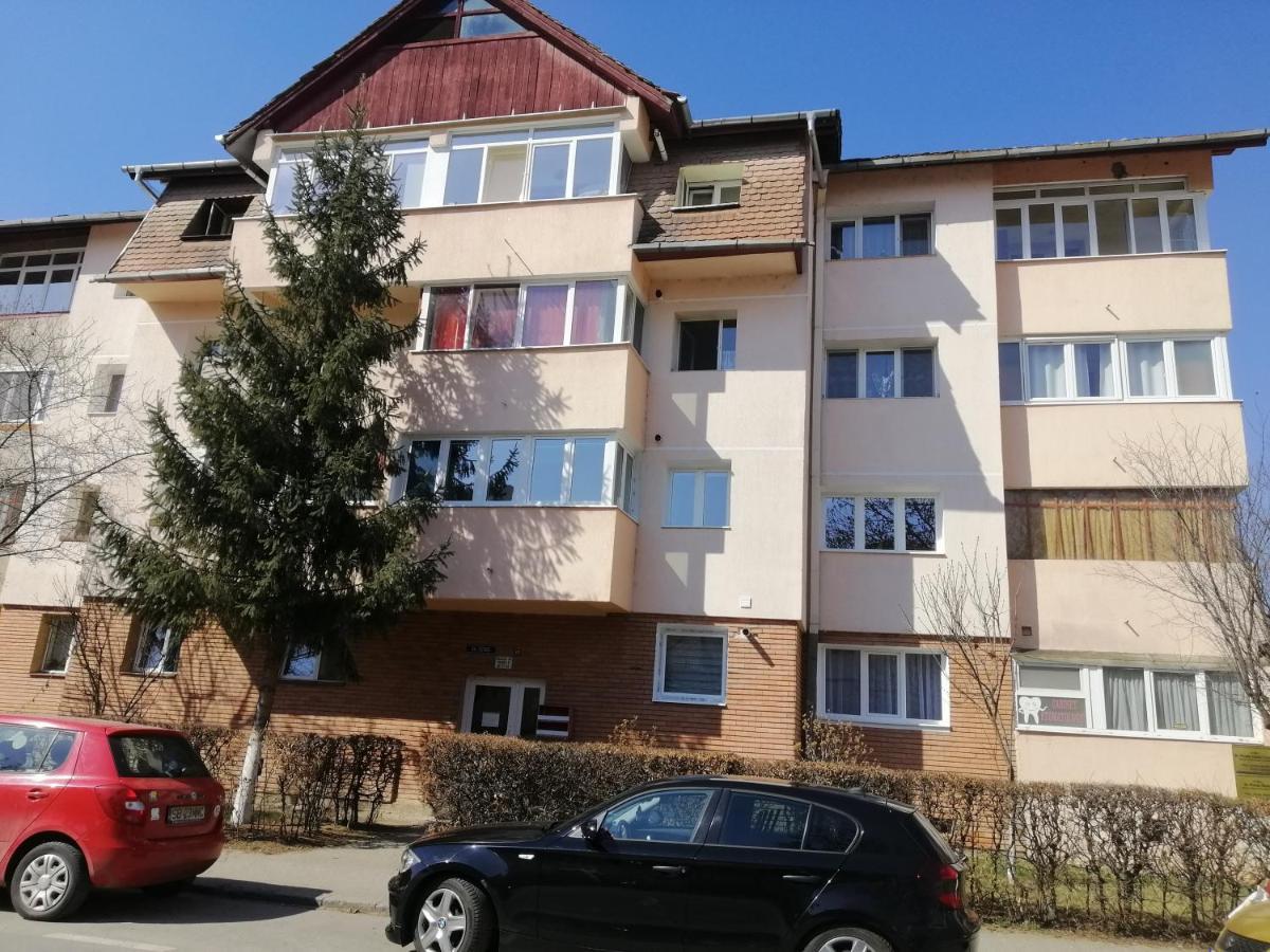 Studio Acasa Сібіу Екстер'єр фото